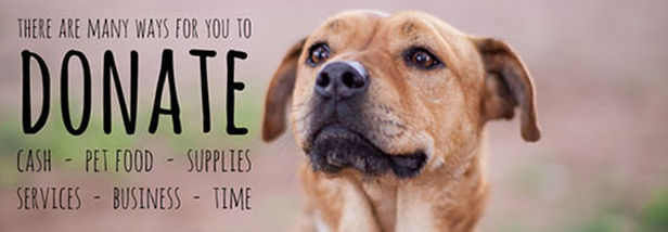 54c7ae_488cd7cbe789454588c9c1860baa58ea