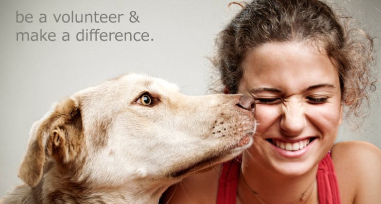 volunteer_pic